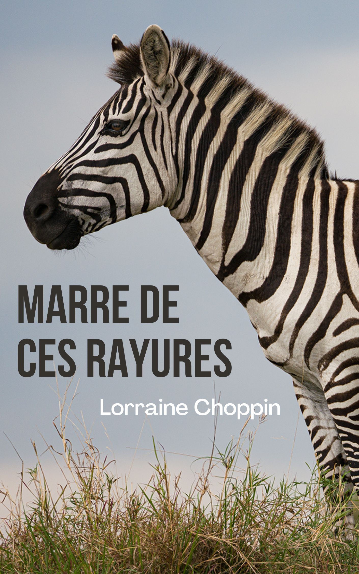 couverture de Marre de ces rayures de Lorraine Choppin
