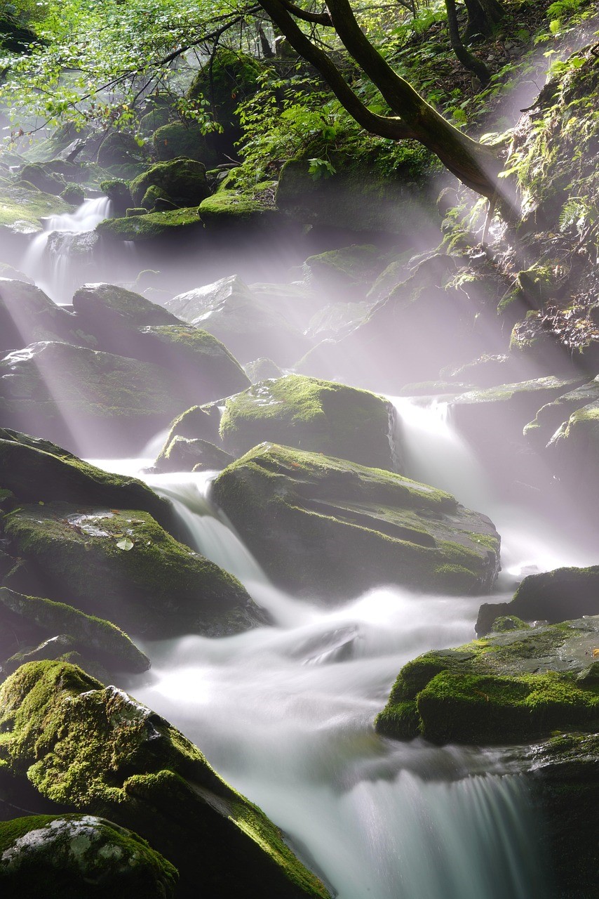 photo de ruisseau